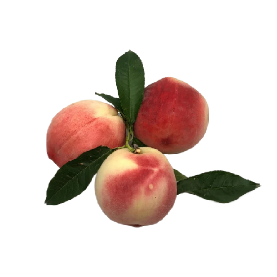 高原水蜜桃（陝西）