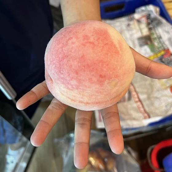 高原水蜜桃（陝西）